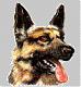 Benutzerbild von german-sheppard